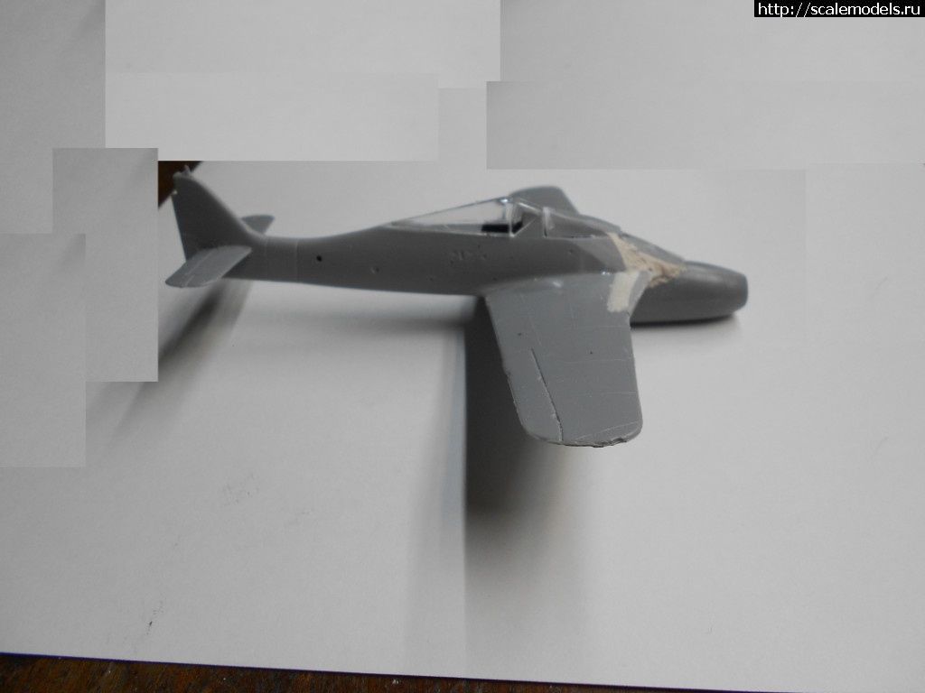 1563741647_DSCN5955.JPG : #1563141/ FW Ta-166 Frankenstein 1/72 ()   