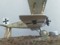 Special hobby 1/48 Fokker B.II (03.61)