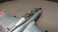 Eduard 1/48 L-29 Delfin