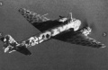 ICM 1/48 Ju-88A-10