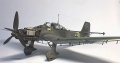 Hasegawa+Verlinden 1/32 Ju-87D  