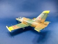 Trumpeter 1/48 L-39 Albatros