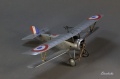 Eduard 1/48 Nieuport 17