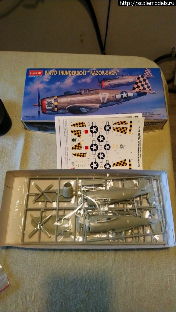 1570637580_1562652862_DSC_0213.JPG : #1577584/ Revell 1/72 P-47M Thunderbolt - ...(#13495) -   