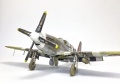 Tamiya 1/48 Mustang III(-51/) -  