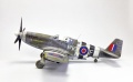 Tamiya 1/48 Mustang III(-51/) -  