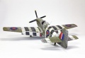 Tamiya 1/48 Mustang III(-51/) -  