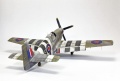 Tamiya 1/48 Mustang III(-51/) -  