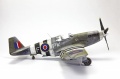 Tamiya 1/48 Mustang III(-51/) -  