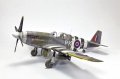 Tamiya 1/48 Mustang III(-51/) -  