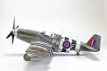 Tamiya 1/48 Mustang III(-51/) -  