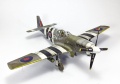 Tamiya 1/48 Mustang III(-51/) -  