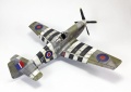 Tamiya 1/48 Mustang III(-51/) -  