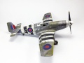 Tamiya 1/48 Mustang III(-51/) -  