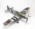 Tamiya 1/48 Mustang III(-51/) -  