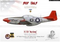 1/72 P-51 -  ? ,    :/