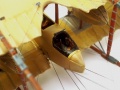  1/72 Caudron G.4