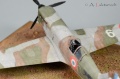 Hasegawa 1/72 Dewoitine D.520