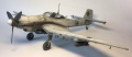 Hasegawa 1/32 Ju-87D5 