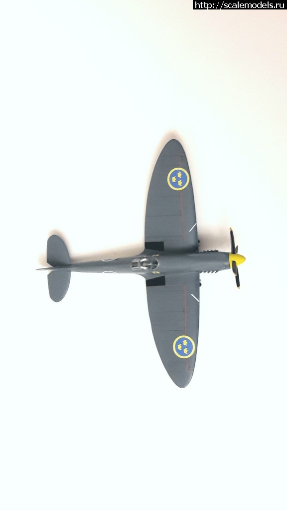 1572633776_09.jpg :  -     , 1/72,   