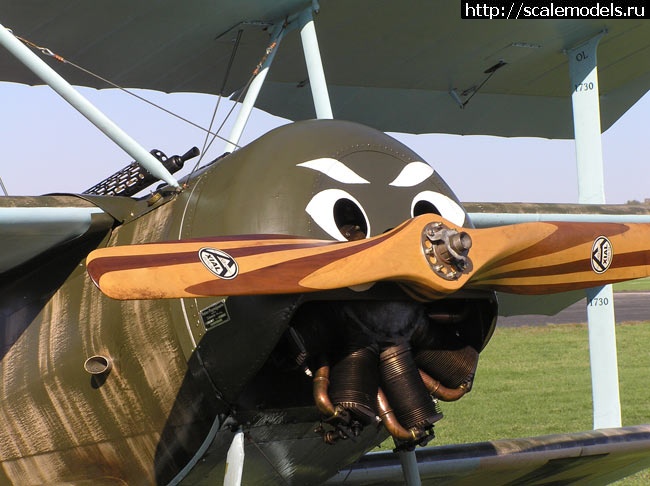 1572694598_F1.jpg :    Fokker Aeroplanbau  