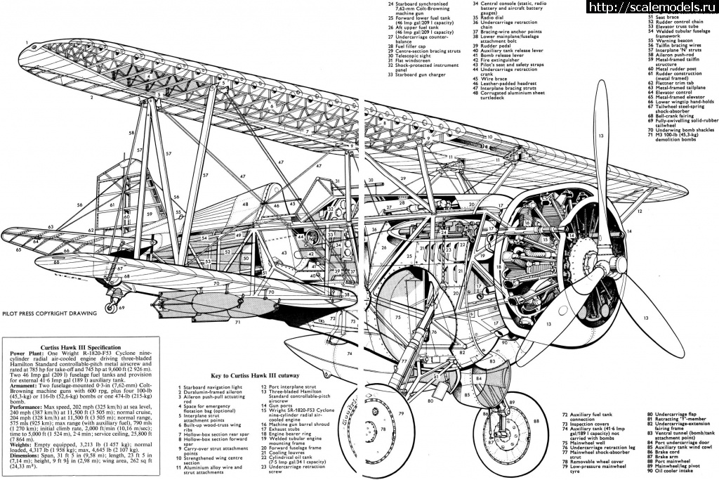 1573485168_196-1.jpg : #1583975/     Curtiss Hawk lll  