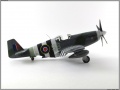 ICM 1/48 Mustang Mk.III