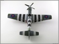 ICM 1/48 Mustang Mk.III