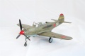 Hasegawa 1/48 P-39 Airacobra 