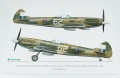  Exito Decals 1/48 Supermarine Spitfires: Sweet Fourteens  Sexy Spitfires