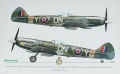  Exito Decals 1/48 Supermarine Spitfires: Sweet Fourteens  Sexy Spitfires