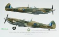  Exito Decals 1/48 Supermarine Spitfires: Sweet Fourteens  Sexy Spitfires