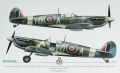  Exito Decals 1/48 Supermarine Spitfires: Sweet Fourteens  Sexy Spitfires