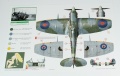  Exito Decals 1/48 Supermarine Spitfires: Sweet Fourteens  Sexy Spitfires