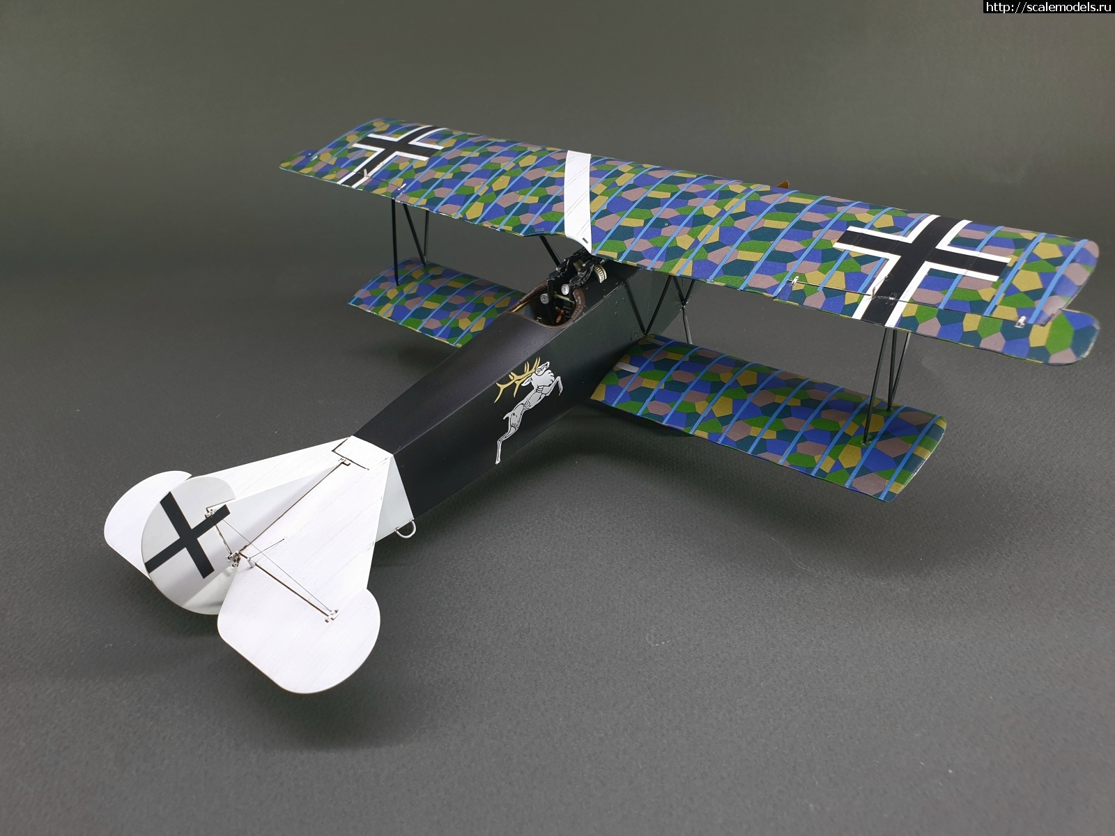 1576914718_20191218_133138.jpg : #1590718/ Wingnut Wings 1/32 Fokker D.VII (Alb) - !  