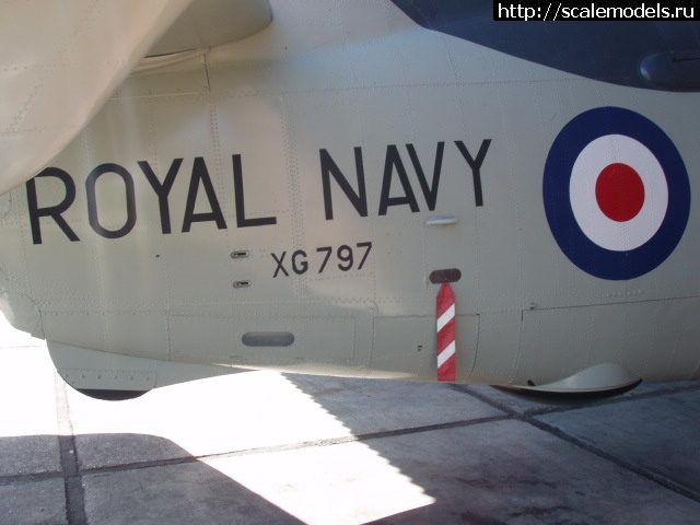 1577115534_P7110438.JPG : #1591151/ Fairey Gannet  