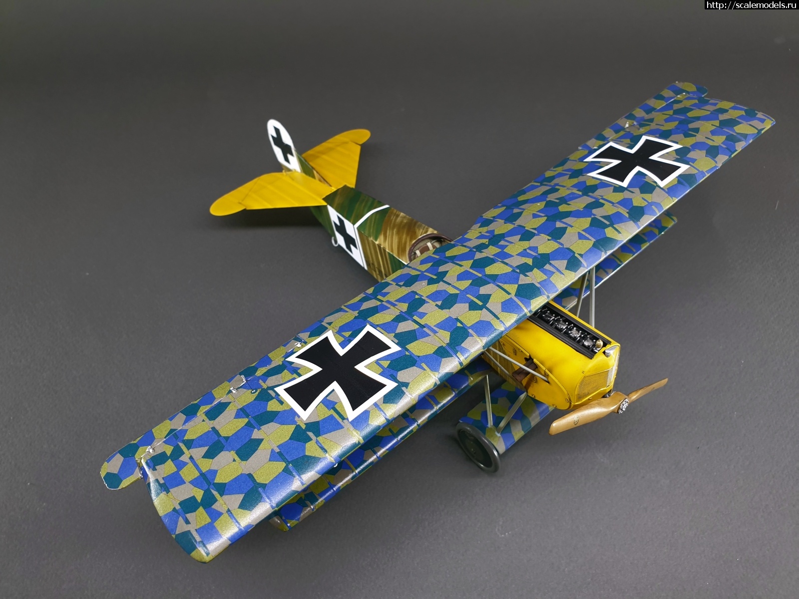 1577191644_20191218_133435.jpg : #1591298/ Wingnut Wings 1/32 Fokker D.VII (Fok) - !  