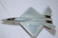 Hobbyboss 1/48 YF-23 Black Widow II