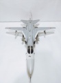 Trumpeter 1/48 -24 Fencer