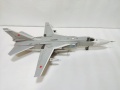 Trumpeter 1/48 -24 Fencer