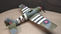 Eduard 1/48 F6F Hellcat MK I JV131