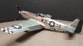 Eduard 1/48 P-51D 472218 -   