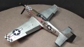 Eduard 1/48 P-51D 472218 -   