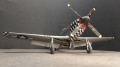 Eduard 1/48 P-51D 472218 -   