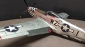 Eduard 1/48 P-51D 472218 -   