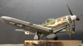 Eduard 1/48 P-400 Airacobra ap287 air a cutie