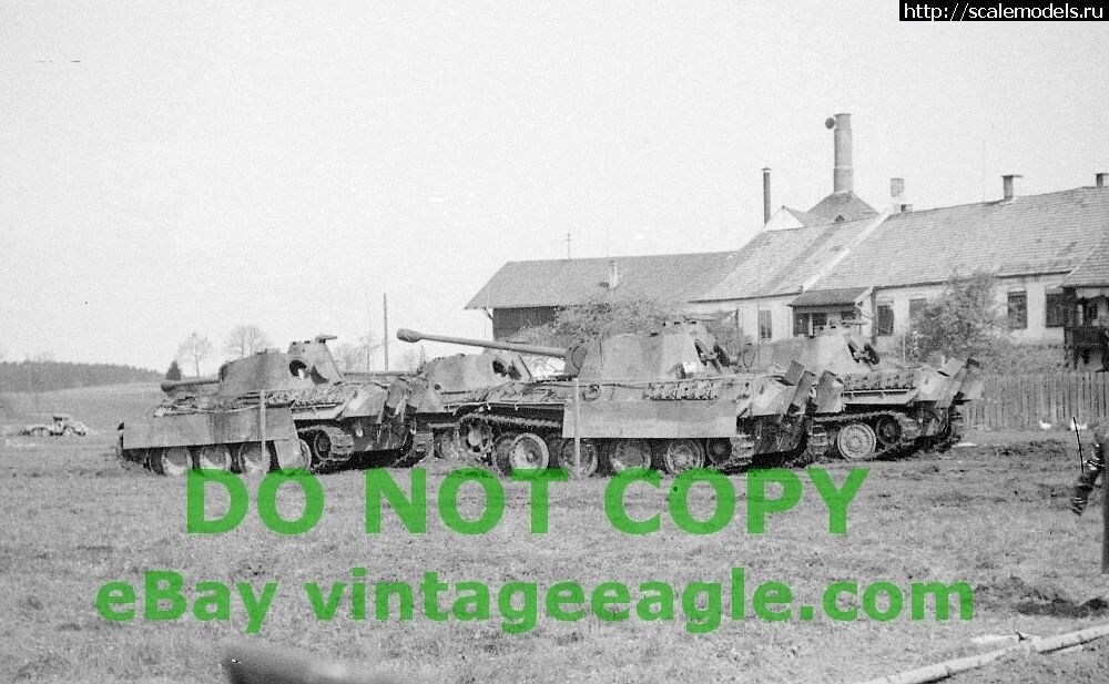 1578250677_koshek-bylo-mnogo.jpg : Dragon 1/35 Panther Ausf.G (MAN,  1945) -    