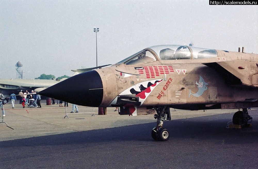 1579086153_Mig-eater-1.jpg : Revell 1/48 Tornado GR.1 Gulf War(#13799) -   