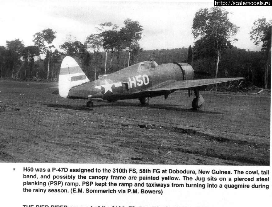 1579455042_58-fg-5.jpg : #1596235/ Tamiya 1/48 P-47,D-16. Thunderbolt.    .  