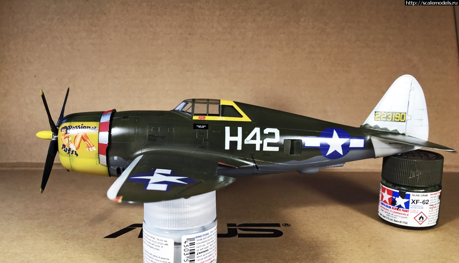 1579455126_IMG_4221.jpg : #1596235/ Tamiya 1/48 P-47,D-16. Thunderbolt.    .  